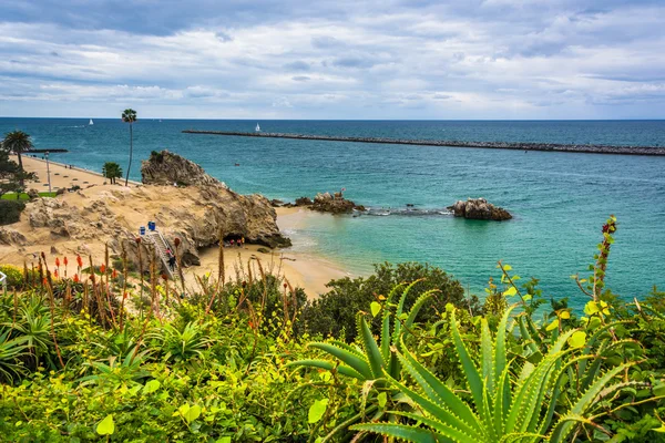 Utsikt over en strand og Stillehavet fra Lookout Point i Coro – stockfoto