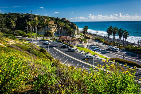 Flores coloridas y vista de la playa del estado de San Clemente desde Calaf — Foto de Stock