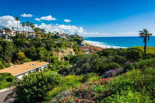 Flores en una colina y vista de las casas y el Océano Pacífico en Sa — Foto de Stock