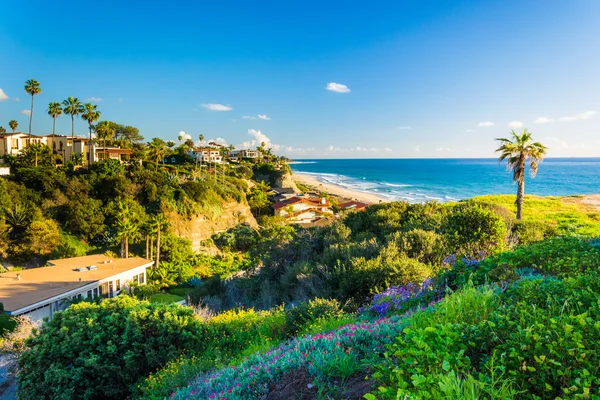 Fiori su una collina e vista delle case e l'Oceano Pacifico in Sa — Foto Stock