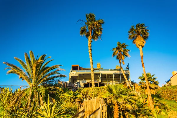 Dům a palm stromy nad pláží, Laguna Beach, Kalifornie, USA. — Stock fotografie