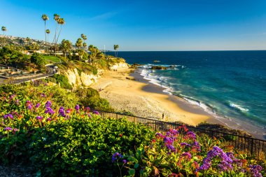 Flowers and view of the Pacific Ocean at Heisler Park, in Laguna clipart