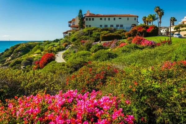 Bunte blumen und blick auf großes haus im calafia park, in san — Stockfoto