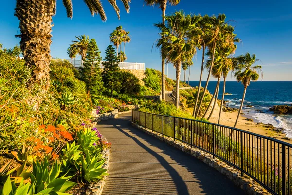 Flowers and view of the Pacific Ocean along a walkway at Heisler — Stock Photo, Image