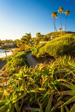 Bahçeleri ve Heisler Park, Laguna B Pasifik okyanus manzarası