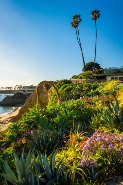 Bahçe Heisler Park, Laguna Beach, California.