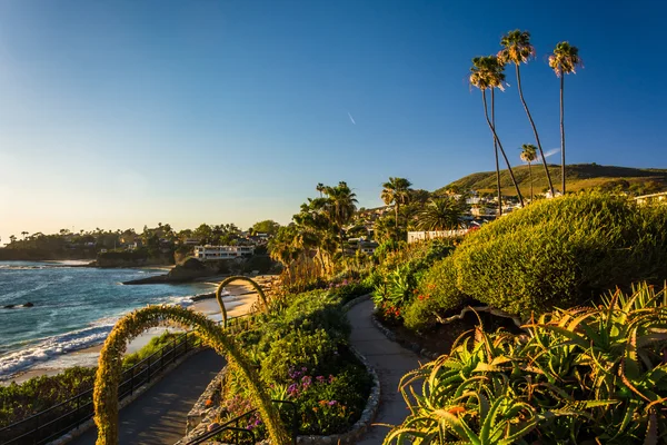 Jardins e vista para o Oceano Pacífico, no Heisler Park, Laguna B — Fotografia de Stock