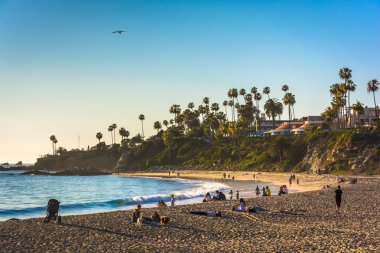 Akşam ışığı üzerinde ana Beach Park, Laguna Beach, California.