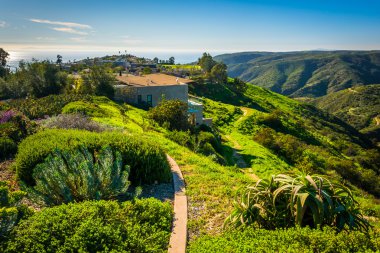 Bitkiler ve Laguna Beach Park Caddesi'nden dağlarının görünümü, 