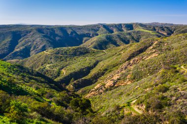 Park Avenue, Laguna Beach, California dağlardan görünümünü.