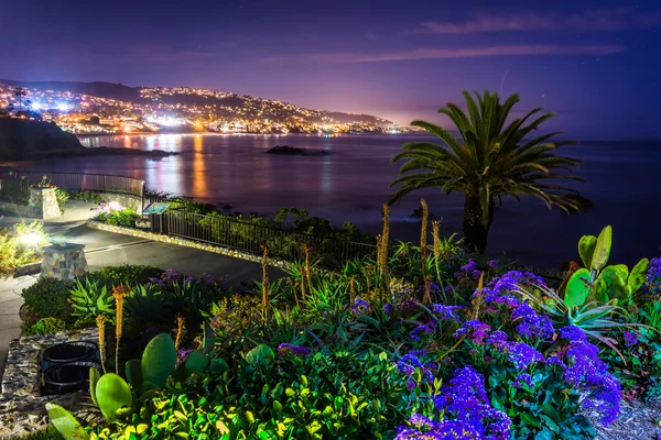 Çiçekler ve görünümden Laguna Beach gece, Heisler parkta 