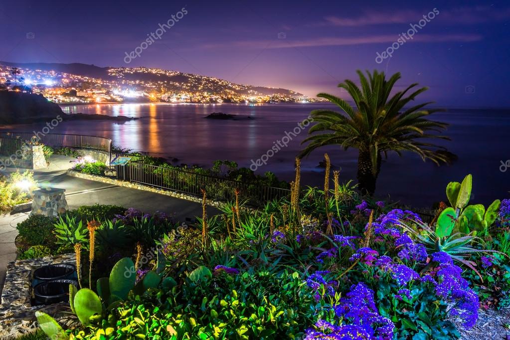 Flowers and view of Laguna Beach at night, from Heisler Park in — Stock Photo © appalachianview