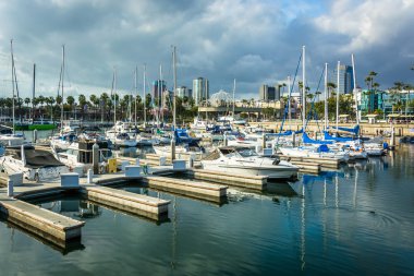 Long Beach, Kaliforniya'da bir marina.