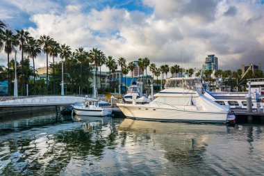 Long Beach, Kaliforniya'da bir Marina'da yansıtan bulutlar.