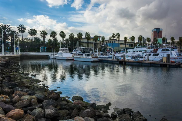 Marina és épületek, Long Beach, Kalifornia. — Stock Fotó