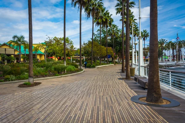 Pasarela frente al mar en Long Beach, California . —  Fotos de Stock