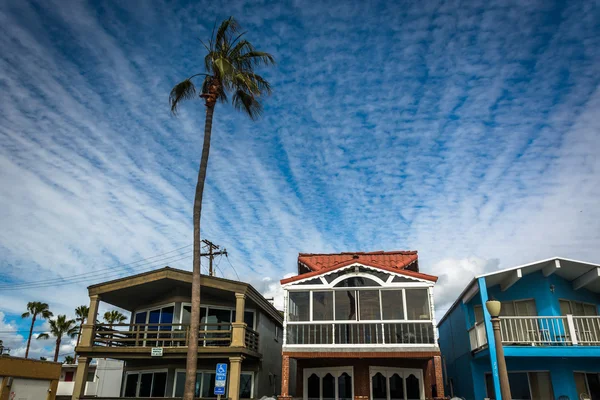 Palmový strom a pláž domy v Newport Beach, Kalifornie, USA. — Stock fotografie