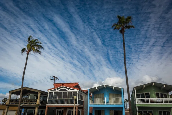 Palmiye ağacı ve sahil evleri Newport Beach, California. — Stok fotoğraf