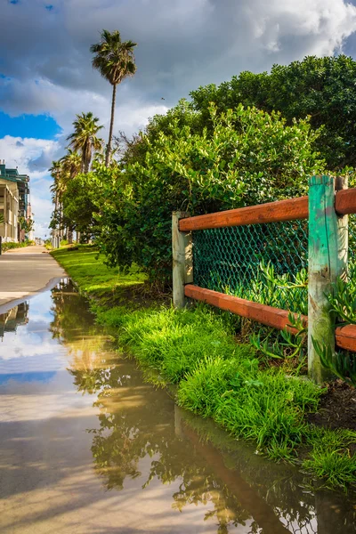 Cerca y palmeras a lo largo del paseo marítimo en Venice Beach, Los An — Foto de Stock