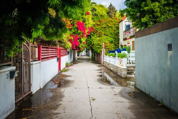 Casas e árvores coloridas ao longo de um beco em Venice Beach, Califo — Fotografia de Stock