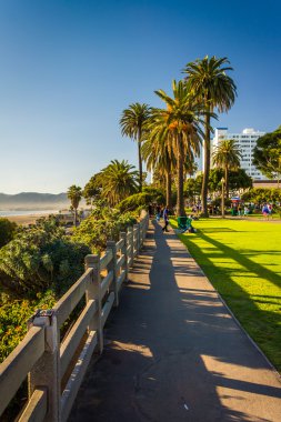 Santa Monica, Kaliforniya'da Palisades Park yolu.