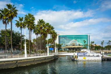 Palmiye ağaçları ve Long Beach, California liman boyunca binalar