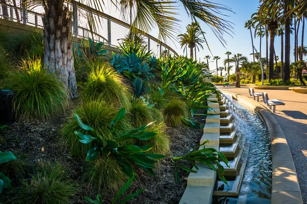 Plants and fountains at Tongva Park, in Santa Monica, California — Stock Photo, Image