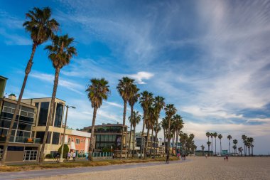 Palmiye ağaçları ve Venice Beach, plaj boyunca Los Ange evler