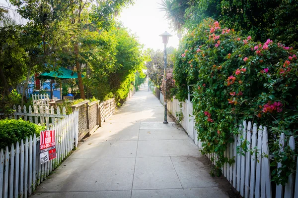 Kwiaty i domy wzdłuż chodnika w Venice Beach, Los Angeles, C — Zdjęcie stockowe