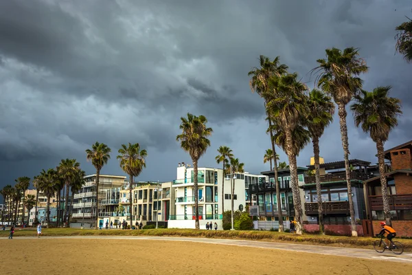 Palme e case lungo la spiaggia, a Venice Beach, Los Ange — Foto Stock