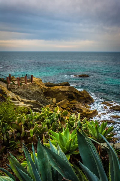 View of the Pacific Ocean from Ruby Street Park, in Laguna Beach — Stock Photo, Image