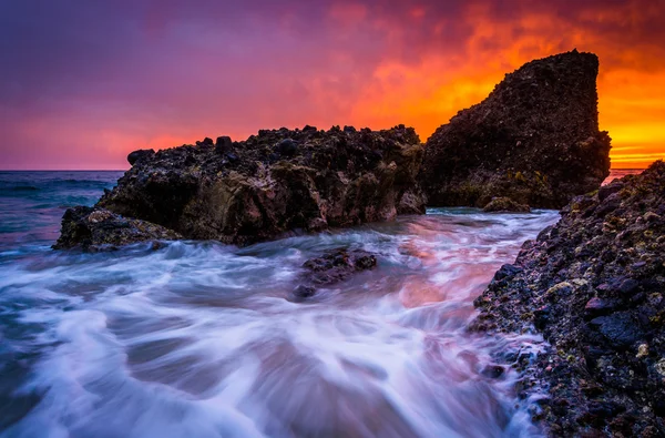 Wellen und Felsen im Pazifik bei Sonnenuntergang, an der Waldbucht, — Stockfoto