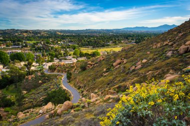 Sarı çiçek ve iz Mount Rubidoux Park, Riversi görünümünü