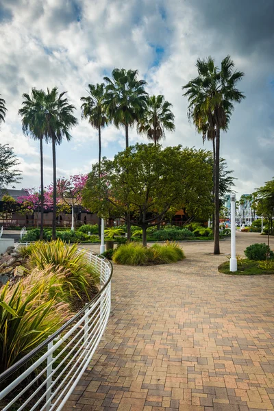 Long Beach, Kaliforniya'da Waterfront geçit. — Stok fotoğraf