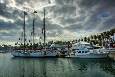 Long Beach, Kaliforniya'da limandaki tekneler.