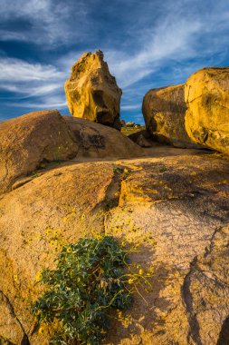 Riverside, California Mount Rubidoux Park'ta büyük kayalar.