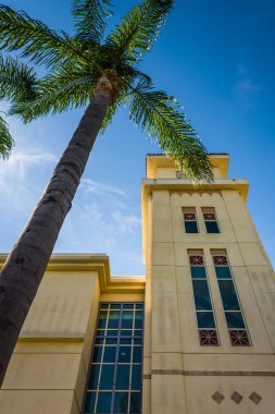 Palmiye ağacı ve Chapman Üniversitesi, Orange, California bina