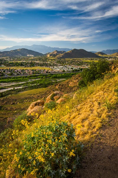 Flowers and view of distant mountains and valleys from Mount Rub — Stock Photo, Image