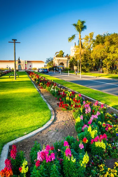 Сади в парку Бальбоа, San Diego, Каліфорнія. — стокове фото