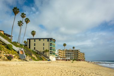 Binalar ve palmiye ağaçları plajda Laguna Beach, Califo
