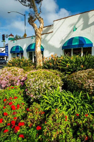 Vackra trädgårdar och byggnaden i centrala Laguna Beach, Califor — Stockfoto