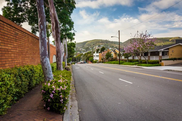 Colorful trees and flowers along Glenneyre Street, in Laguna Bea — Stock Photo, Image