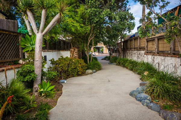 Jardins le long d'une passerelle à Laguna Beach, Californie . — Photo