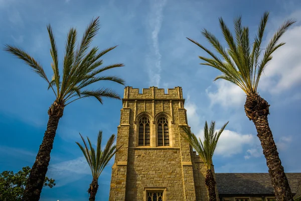 Palm trees and church in Pasadena, California. — Stock Photo, Image