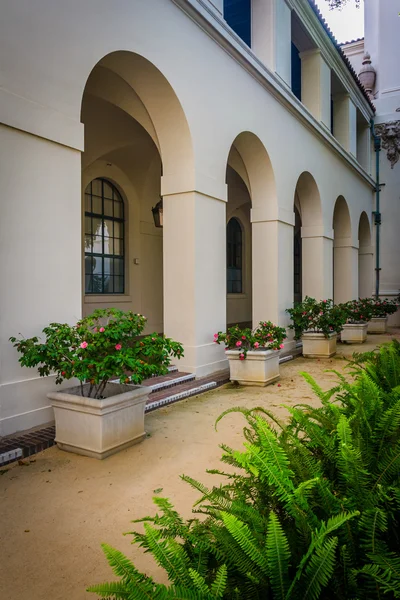 Ormbunkar och blommor utanför stadshuset, i Pasadena, Kalifornien. — Stockfoto