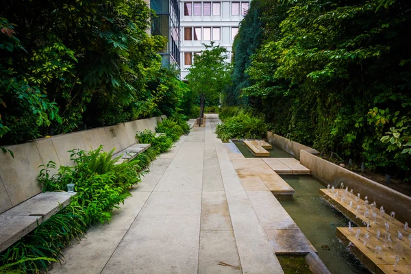 Feuillage et petites fontaines le long d'une allée au centre-ville de Pasadena — Photo