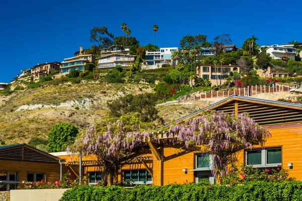 Laguna Beach, Kaliforniya'da bir kayalığın evler. — Stok fotoğraf