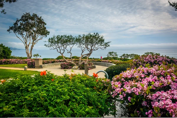 Сад и деревья в парке Crescent Bay Point Park, в Laguna Beach, Ca — стоковое фото