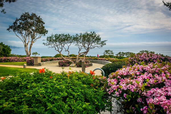 Garden and trees at Crescent Bay Point Park, in Laguna Beach, Ca