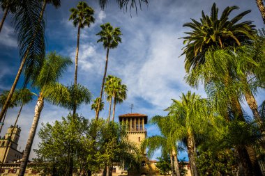 Palmiye ağaçları ve Mission Inn, Riverside, Ca dış